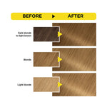 Garnier Olia 8.0 Medium Blonde Ammonia-Free Permanent Hair Color Kit-2