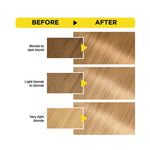 Garnier Olia 9.0 Light Blonde Permanent Ammonia-Free Hair Color Kit-2