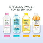 Garnier SkinActive Micellar Cleansing Water With Salicylic Acid 400ml-7