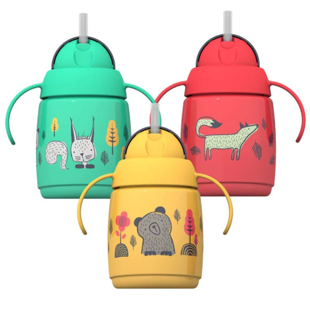 Tommee Tippee Superstar Insulated Straw Cup 6m Plus Leakproof Sippy Cup