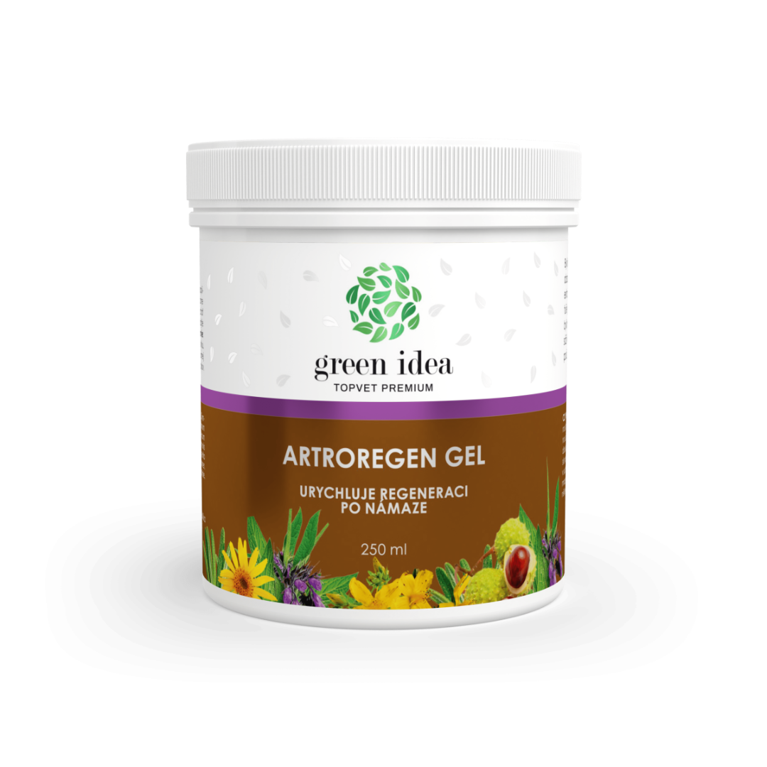 Artroregen Gel 250 Ml Herbal Joint Support Gel For Recovery-1