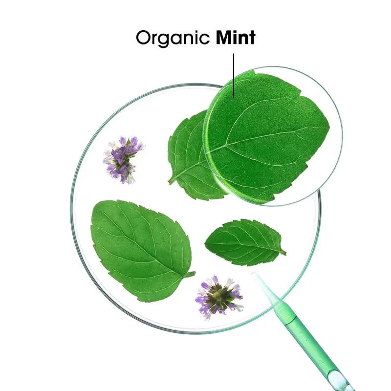 Klorane Detox Shampoo With Aquatic Mint 200ml-7