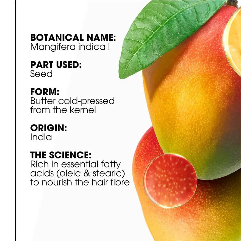 Klorane Nourishing Shampoo With Mango Butter For Dry Hair 200ml-4